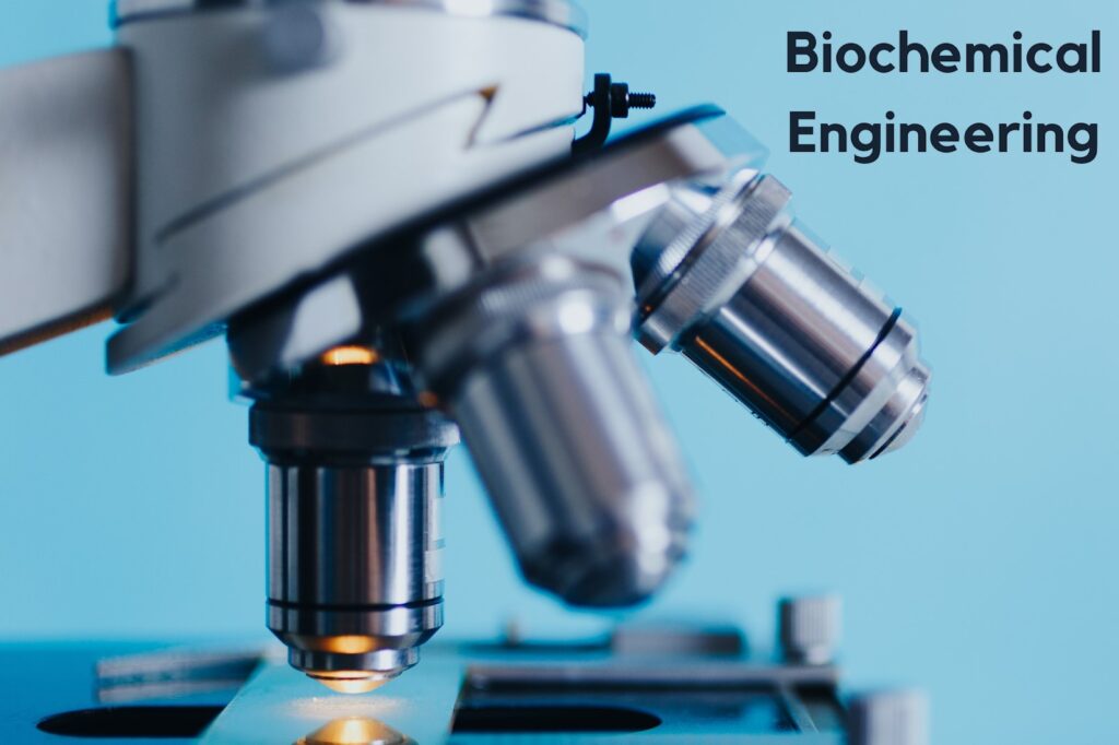 Biochemical Engineering in India