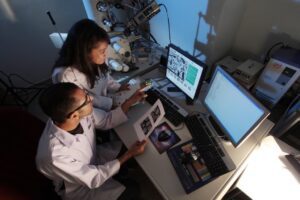 biotechnology engineering in india